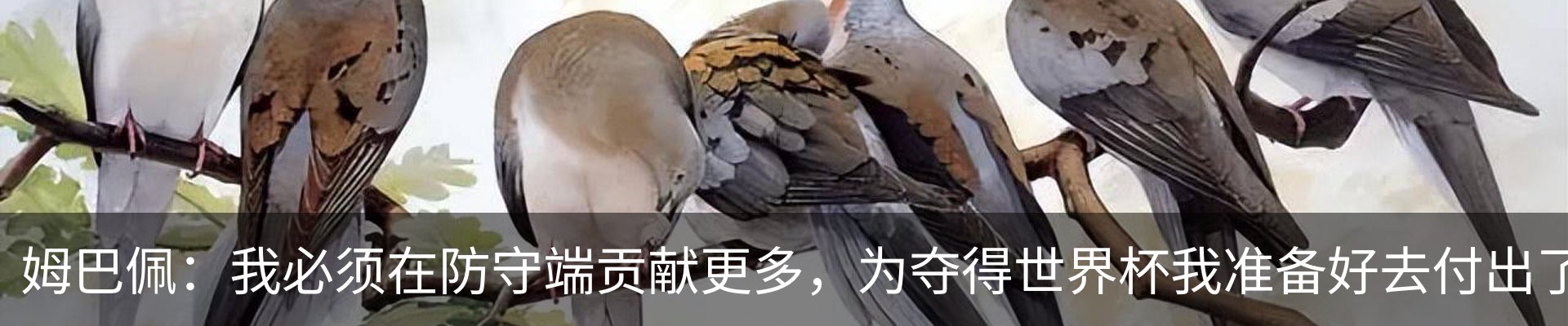 新闻动态