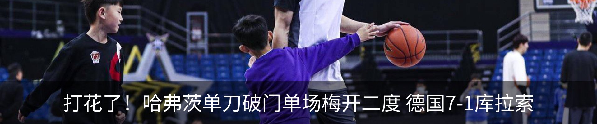 新闻动态