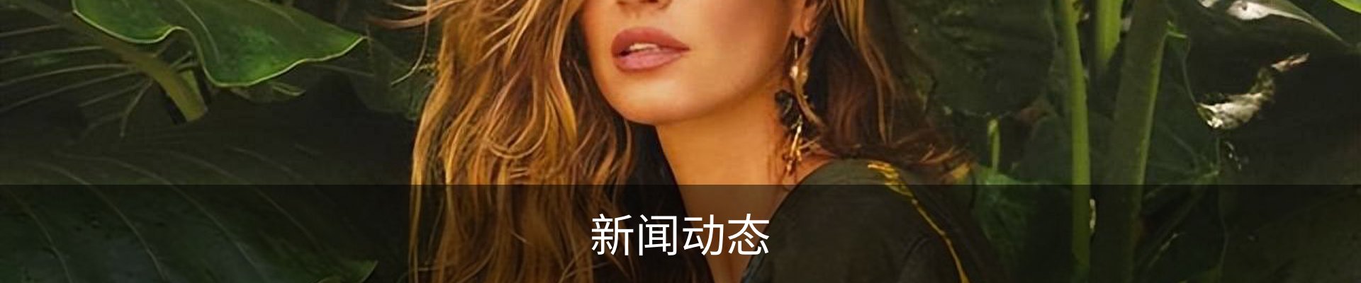 新闻动态