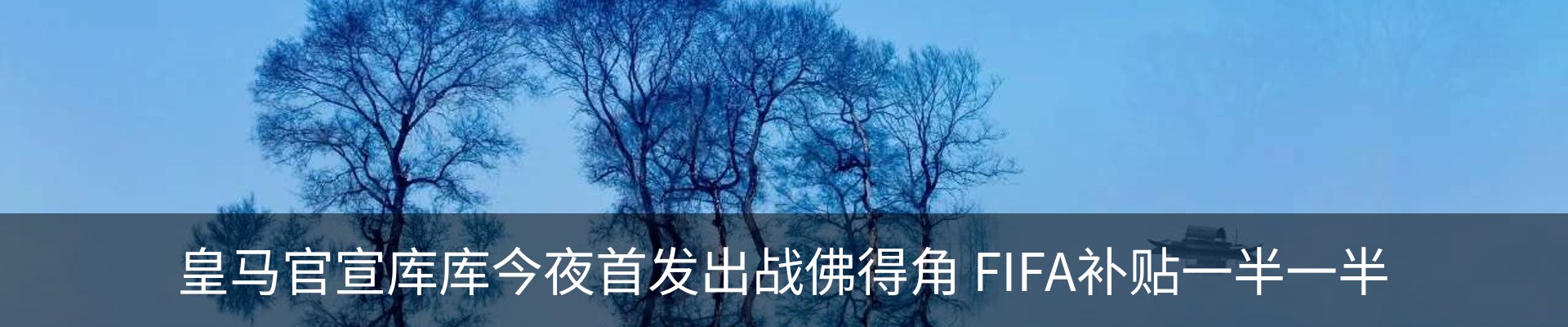 新闻动态